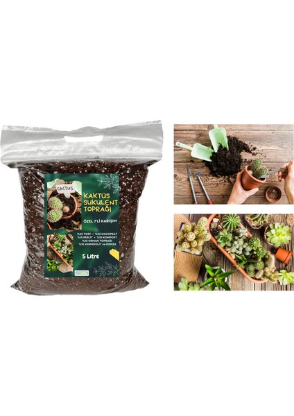 Kaktüs Sukulent Toprağı 5 Lt- 7'li Özel Karışım(Akıllı Gübre Katk
