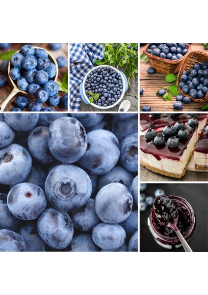 Likapa Meğovak Reçeli 1 kg fiyatları