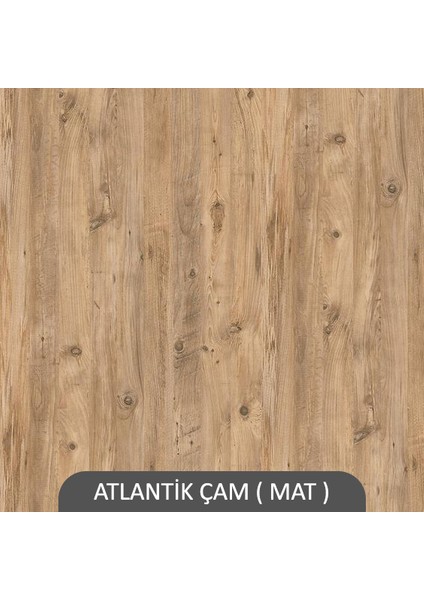 Roni Suntalam Kitaplık ( 200 x 80 x 40 ) Atlantik Çam ( Mat )