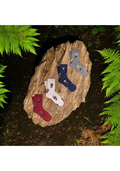 - 4'lü Çocuk Çoklu Teddy Bear Pamuklu Çorap