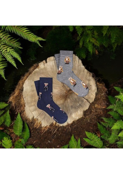 - 4'lü Çocuk Çoklu Teddy Bear Pamuklu Çorap modelleri