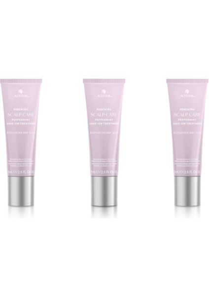 Ekonomik Üçlü Renewing Peppermint Leave On Treatment