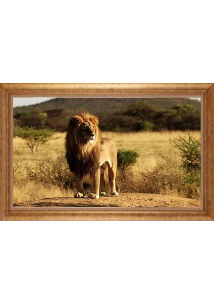 Altın Çerçeveli Paspartulu Tablo GR647