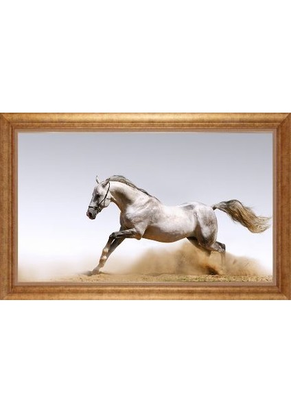 Altın Çerçeveli Paspartulu Tablo GR2533