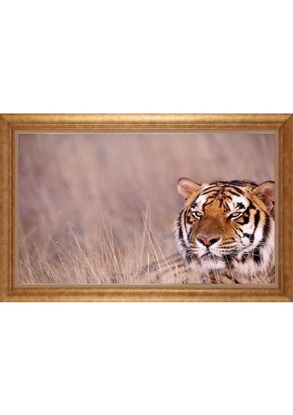 Altın Çerçeveli Paspartulu Tablo GR628