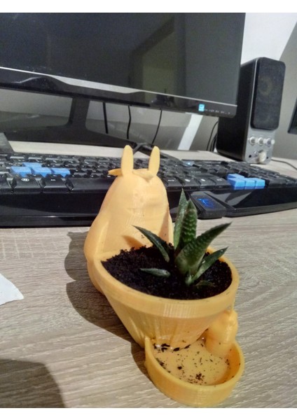 Totoro Kendi Kendini Sulayan Saksı T3229973 lı