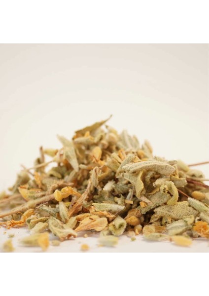 Ballı Baba Sarı Çuha Çiçeği 1 kg fiyatları