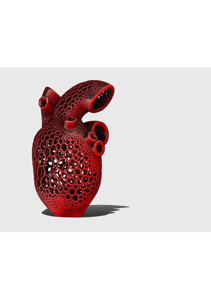 Yeni By Anatomik Kalp Mumluk T2639597
