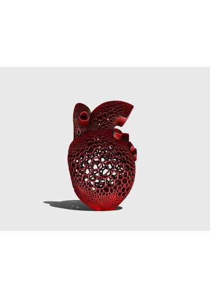 Yeni By Anatomik Kalp Mumluk T2639597