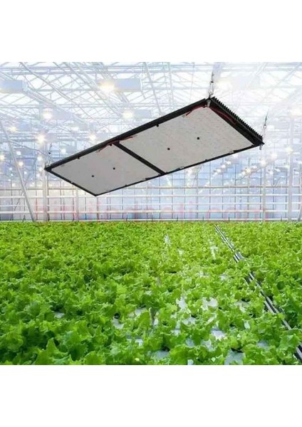 LH-GL-P2000 Bitki Yetiştirme Ledi 200W