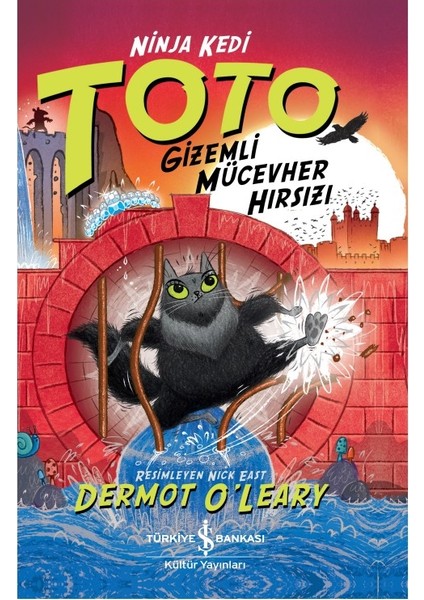 Ninja Kedi Toto – Gizemli Mücevher Hırsızı - Dermot O’leary