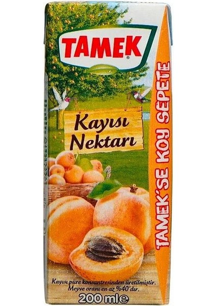 Kayısı Nektarı 200 ml x 27 Adet