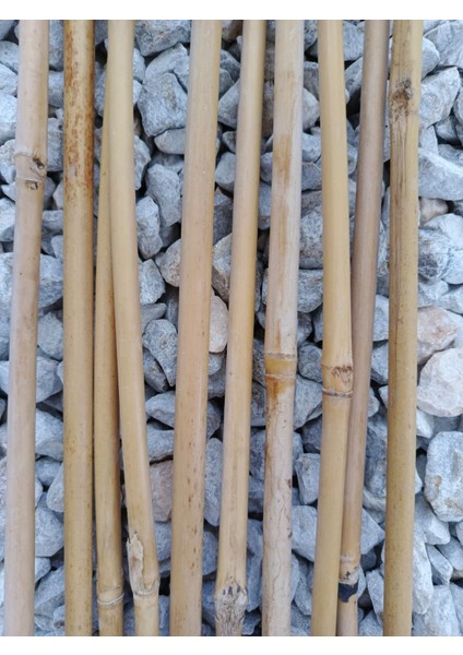 - Gerçek Bambu Destek Çubuğu (10 Adet / 150 Cm.)