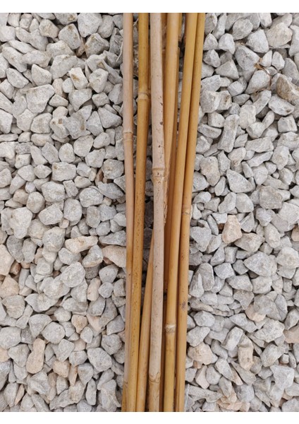- Gerçek Bambu Destek Çubuğu (10 Adet / 150 Cm.) modelleri