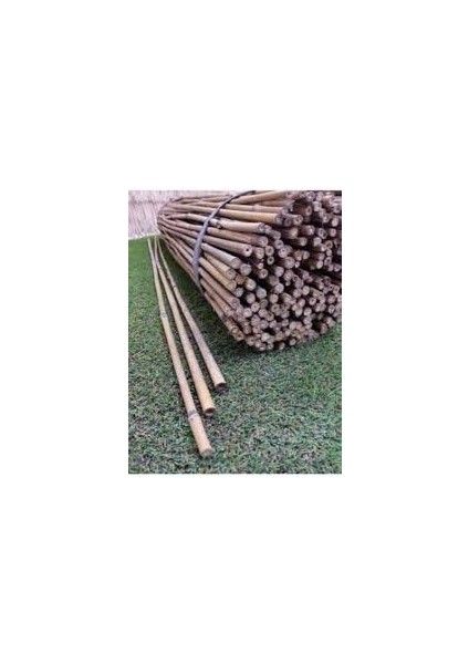 - Gerçek Bambu Destek Çubuğu (10 Adet / 150 Cm.) fırsatları