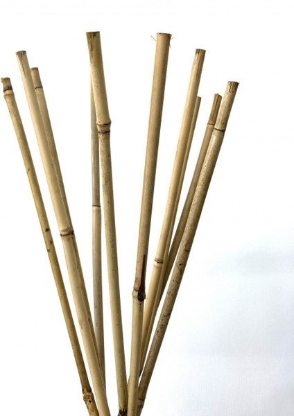 - Gerçek Bambu Destek Çubuğu (10 Adet / 150 Cm.) indirimleri