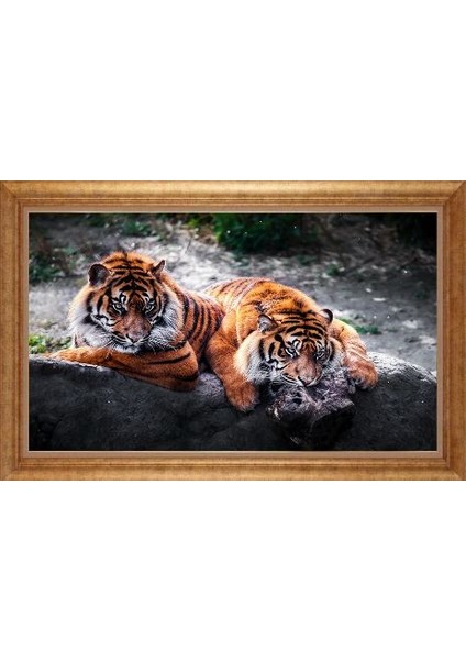 Altın Çerçeveli Paspartulu Tablo IR2536