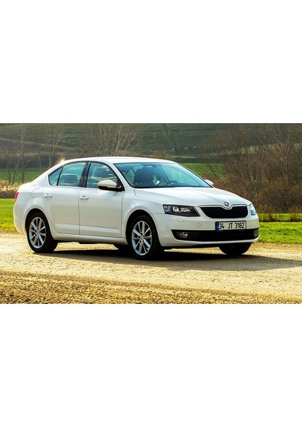 Skoda Octavia Sedan Bagaj Amortisörü Takım Sağ-Sol 2013-2017