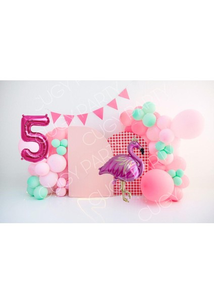 Pembe Flamingo Detaylı 5 Yaş Mini Doğum Günü Parti Konsepti