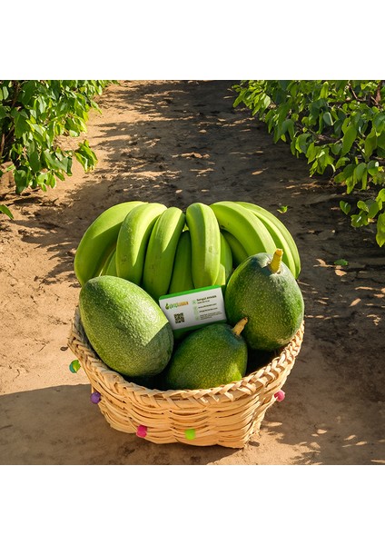 Avokado Muz Sepeti 3 kg