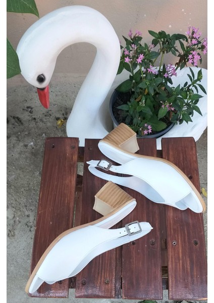 231705 Kadın Hakiki Deri Topuklu Ayakkbı modelleri