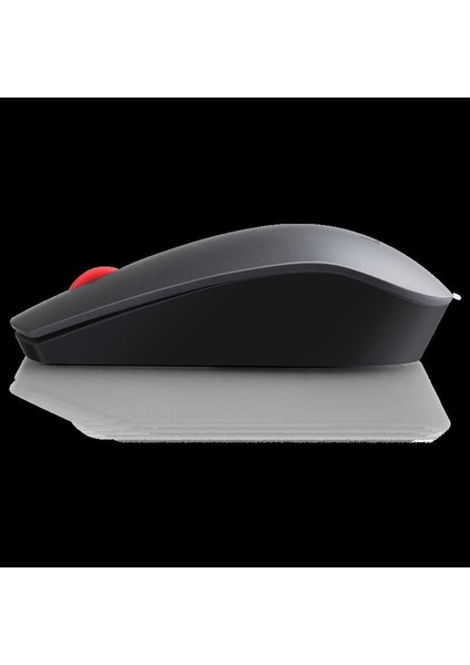 Professıonal Kablosuz Mouse 4X30H56887