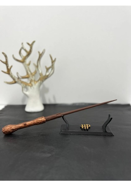Harry Potter Asa ve Asa Standı