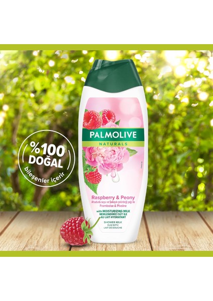 Naturals Ahududu Suyu ve Şakayık Çekirdeği Yağı ile Nemlendirici Duş Jeli 500 ml 2Li fiyatları