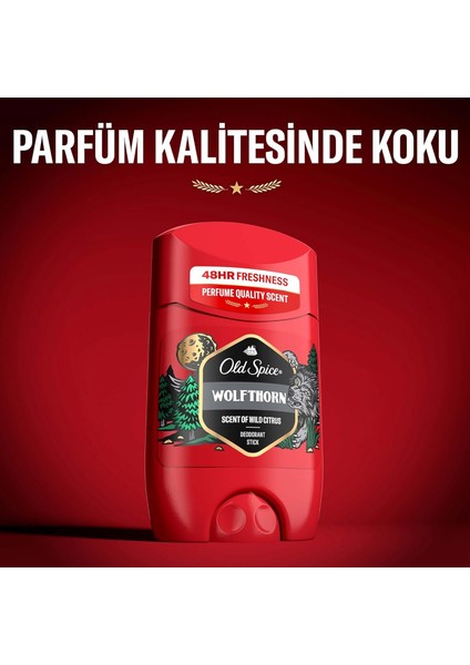 Wolfthorn Erkekler Için Deodorant Stick 50 ml