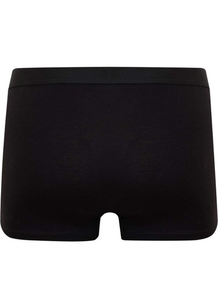 Regular Fit 3'lü Boxer N4277AZ25SP
