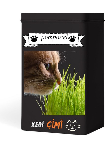 Pomponet Kedi Çimi Organik Buğday 100 gr