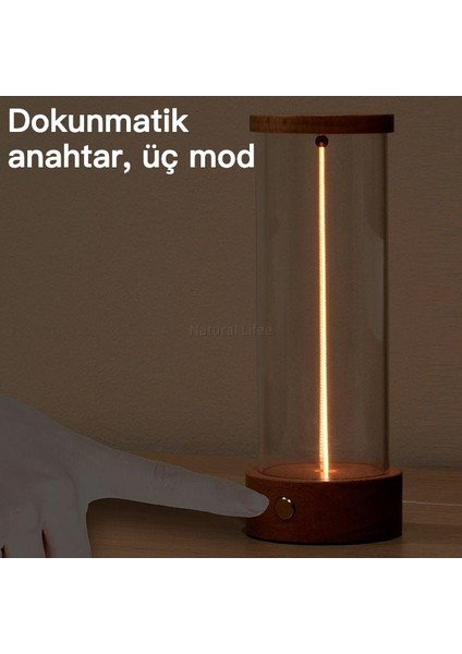 Yaratıcı Dokunmatik Kontrol LED Type-C Şarj Ahşap Masa Lambası/yatak Köşesi Lambası/gece Lambası (Yurt Dışından)