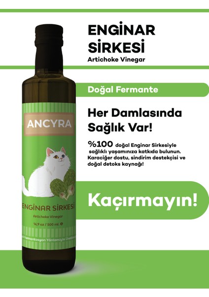 Enginar Sirkesi Doğal Fermante 500 ml fiyatları