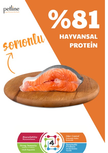 Natural Premium Salmon Somonlu Yetişkin Köpek Maması 3 kg