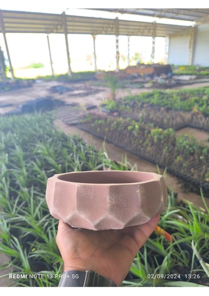 Geometrik Taş Orkide Bonsai ve Aranjman Saksısı