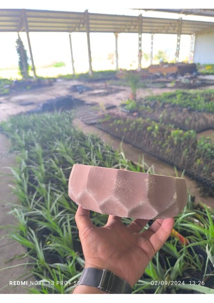 Geometrik Taş Orkide Bonsai ve Aranjman Saksısı
