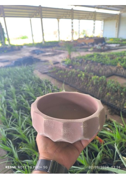 Geometrik Taş Orkide Bonsai ve Aranjman Saksısı