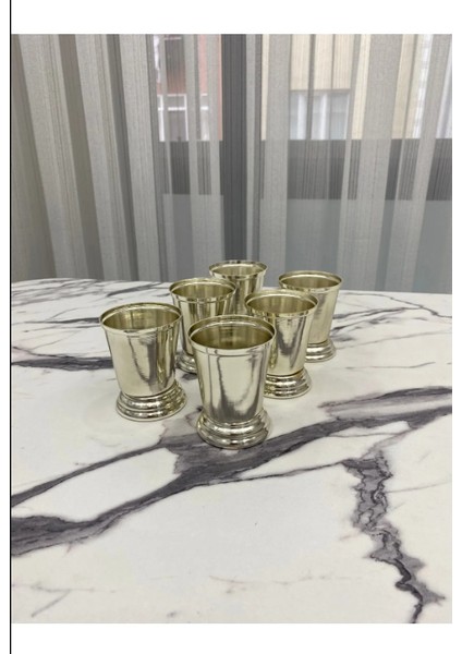 6'lı Gümüş Sunumluk Gül Kovası,kahve Sunumu Çiçeksiz