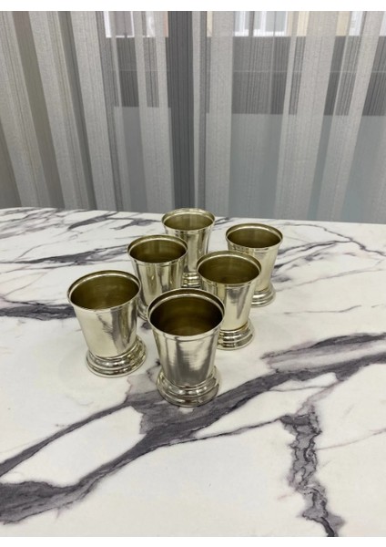 6'lı Gümüş Sunumluk Gül Kovası,kahve Sunumu Çiçeksiz fiyatları