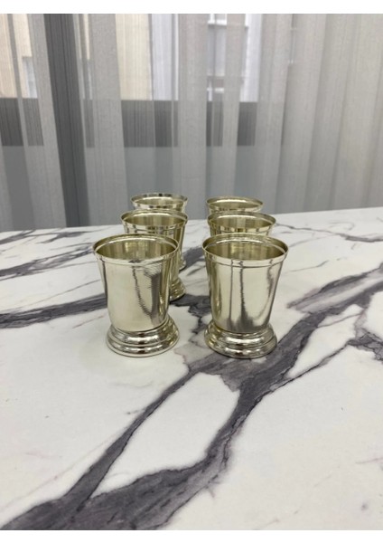 6'lı Gümüş Sunumluk Gül Kovası,kahve Sunumu Çiçeksiz modelleri