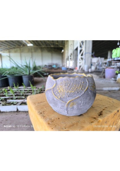 Yaprak Desenli Beton Orkide Aranjman ve Bonsai Saksısı