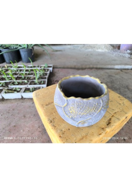 Yaprak Desenli Beton Orkide Aranjman ve Bonsai Saksısı
