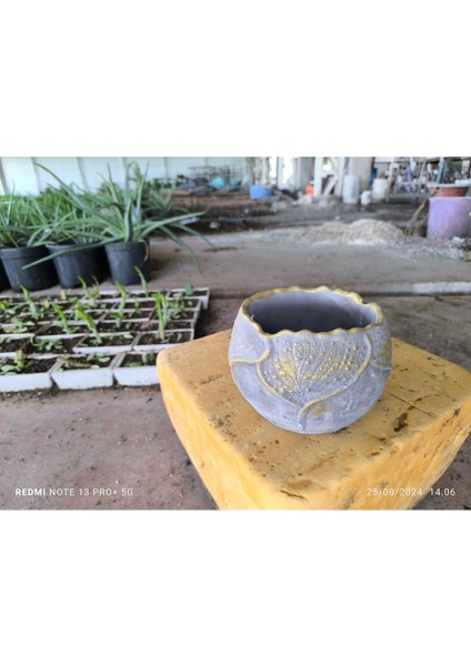 Yaprak Desenli Beton Orkide Aranjman ve Bonsai Saksısı