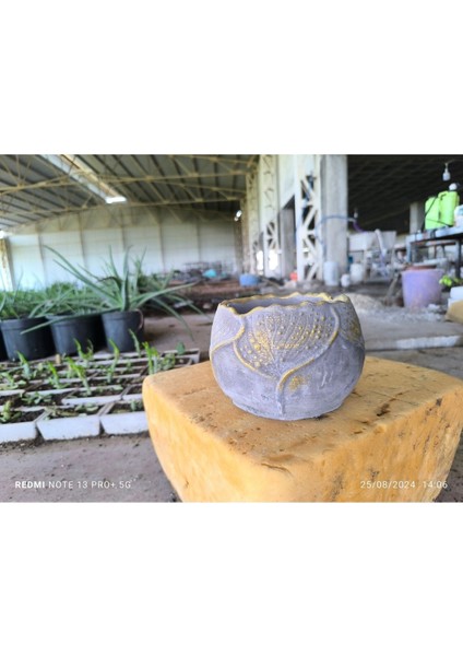 Yaprak Desenli Beton Orkide Aranjman ve Bonsai Saksısı
