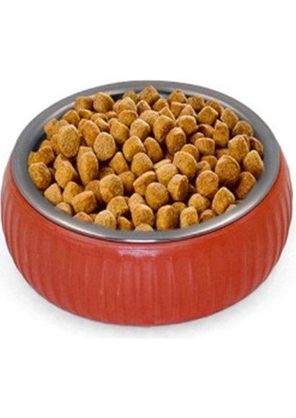 Mikopet Organik Seramik Mama Kabı Kiremit