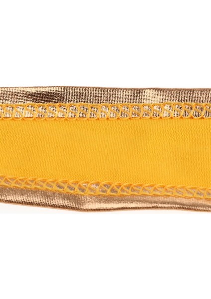 Fringe Oryantal Dans Kostümü Halter Üst Kı Altıın (Yurt Dışından) fırsatları