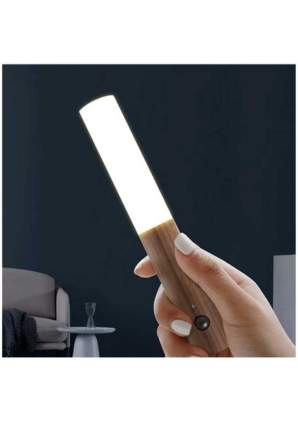 Kumru Şarjlı LED Aplik 3200K CT-5250