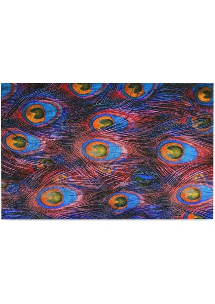 Tavus Kuşu Tüyü Kapı Önü Paspası modelleri