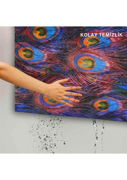 Tavus Kuşu Tüyü Kapı Önü Paspası indirimleri