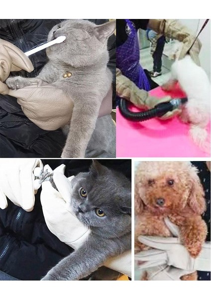Gösterildiği Gibi Stil Isırma Eldiveni Kalın Sürüngen Evcil Hayvanlar Isırmaya Karşı Kedi Kertenkele Tutma Eldivenleri Evcil Hayvan Malzemeleri Için (Yurt Dışından)